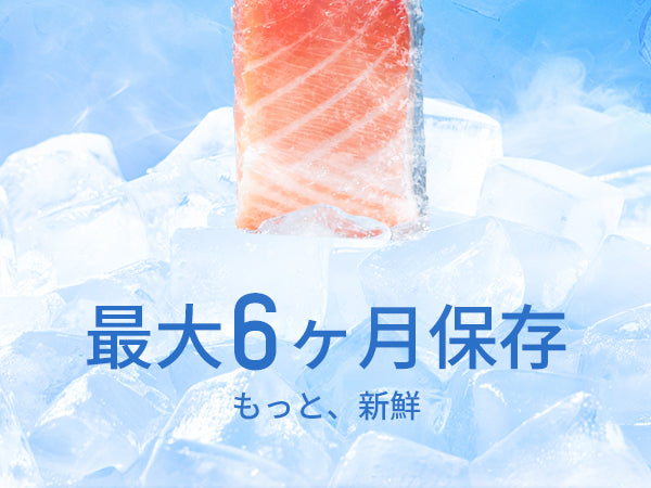 2時間急冷 冷凍庫 65L 2時間急冷 家庭用 小型 冷凍ストッカー コンパクト 耐熱天板 前開き 温度調節4段階 一人暮らし 静音 ZU60ブラック